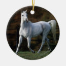 Pesquisar por cavalo árabe ornamentos Funcionamento