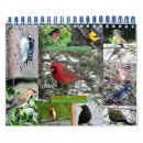 Pesquisar por jay calendarios Cardeal