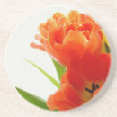 Pesquisar por tulipas porta copos Laranja