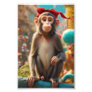 Pesquisar por macacos kodak Fofo