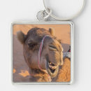 Pesquisar por camel chaveiros Engraçado