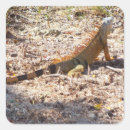 Pesquisar por predador adesivos Lagarto
