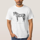 Pesquisar por cavalo árabe camisetas Árabes
