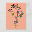 Pesquisar por flor sakura cartoes postais Animais