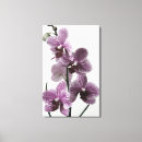 Pesquisar por da orquídea impressão de canvas Flor
