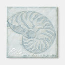 Pesquisar por escudos do mar imas Seashell