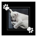 Pesquisar por pinça pôsteres Qualquer pessoa