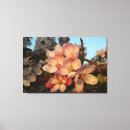 Pesquisar por macio impressão de canvas Flor