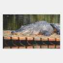 Pesquisar por agressivo adesivos Animal
