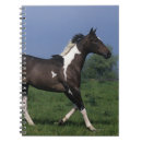 Pesquisar por pinte o cavalo cadernos de notas Funcionamento
