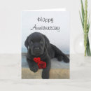 Pesquisar por cachorro labrador cartoes Amor