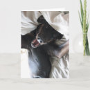 Pesquisar por doberman cartoes Dog