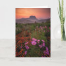 Pesquisar por amanhecer… cartoes Flor