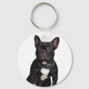 Pesquisar por bull terrier chaveiros Animal
