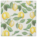 Pesquisar por limonada artesanato material Limões