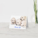Pesquisar por sporting Labrador retriever