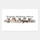 Pesquisar por ingleses adesivos Buldogue