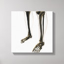 Pesquisar por dos pés do impressão de canvas Fim acima