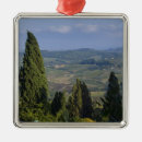 Pesquisar por toscana ornamentos Campo