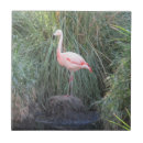 Pesquisar por seja um flamingo azulejos Pássaro