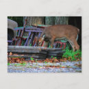 Pesquisar por pomada cartoes postais Natureza