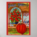 Pesquisar por lanternas chinesas pôsteres Lanterna chinesa