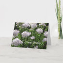 Pesquisar por feliz aniversario flores roxas Branco