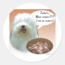 Pesquisar por sheepdog adesivos Cão