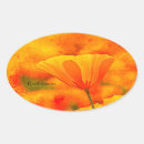 Pesquisar por papoila artesanato material Laranja