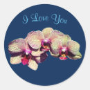 Pesquisar por orquidea adesivos Qualquer pessoa