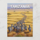 Pesquisar por zebra engraçada cartoes postais Safari