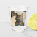 Pesquisar por gato azul russo cozinha jantar Fofofo