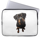 Pesquisar por cão do rottweiler capas Engraçado