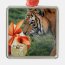 Pesquisar por tigres ornamentos Natal