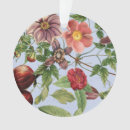 Pesquisar por desenho botânico ornamentos Floral
