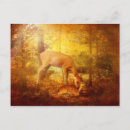 Pesquisar por pomada cartoes postais Animais