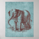 Pesquisar por elefante vintage pôsteres Ilustração