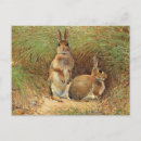 Pesquisar por coelho vintage cartoes postais Retrô