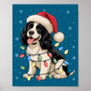 Pesquisar por springer spaniel pôsteres Cachorro