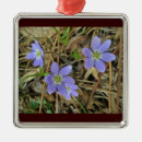 Pesquisar por vestidos ornamentos Flor