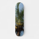 Pesquisar por coco skates Coqueiros