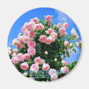 Pesquisar por tampa imas Imã