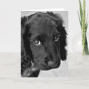 Pesquisar por animal triste cartoes Fofo