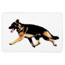Pesquisar por do german shepherd imas Alemão