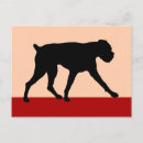 Pesquisar por boxe cartoes postais Animais