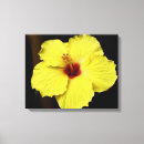 Pesquisar por plantas tropicais impressão de canvas Natureza