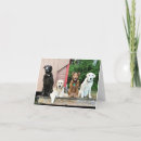 Pesquisar por sophia cartoes Sophie