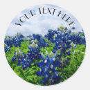 Pesquisar por texan adesivos Bluebonnets