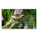 Pesquisar por flores e borboletas cartao de visita Qualquer pessoa