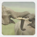 Pesquisar por elefante indiano adesivos Ásia